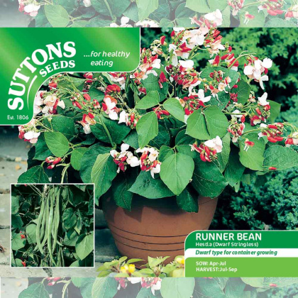 Seeds - Runner Bean Seeds Hestia