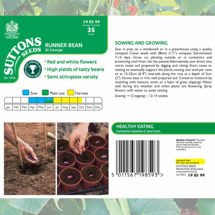 Seeds - Runner Bean St George