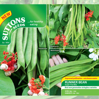 Seeds - Runner Bean Super Trio Mix