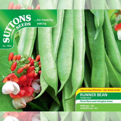 Seeds - Runner Bean Tenderstar