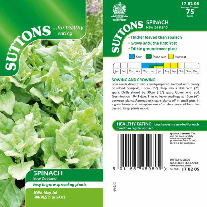 Seeds - Spinach New Zealand Seeds - Spinach New Zealand