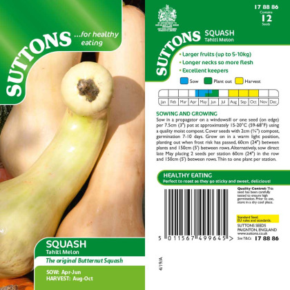 Seeds - Squash Tahiti Melon Seeds - Squash Tahiti Melon