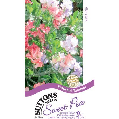 Seeds - Sweet Pea Fragrant Tumbler Seeds - Sweet Pea Fragrant Tumbler