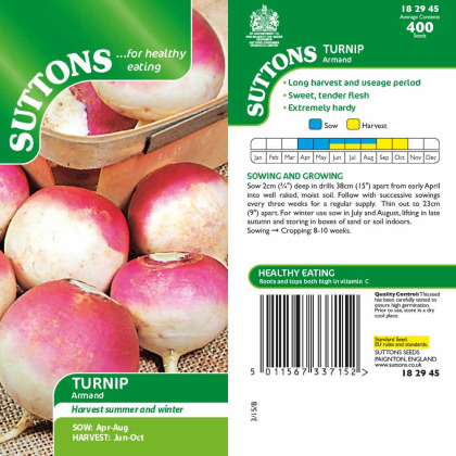 Seeds - Turnip Armand Seeds - Turnip Armand