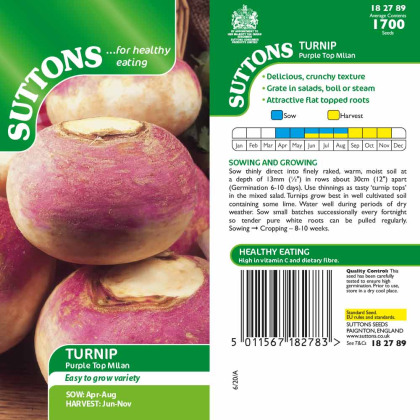 Seeds - Turnip Purple Top Milan Seeds - Turnip Purple Top Milan
