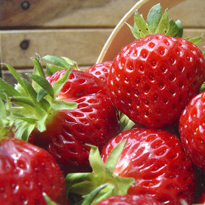 Strawberry Elsanta - 10 Runners Bare Root