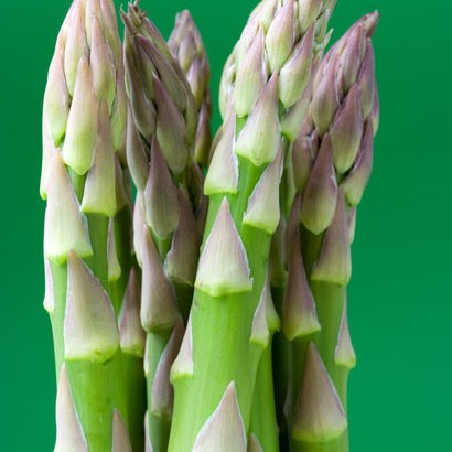 Asparagus Backlim F1 Hybrid