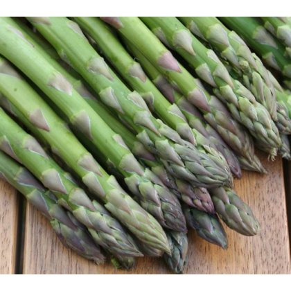 Asparagus Javelim F1