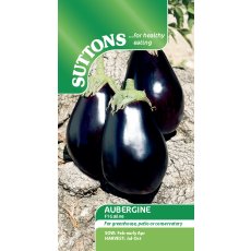 Seeds - Aubergine F1 Galine
