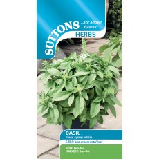 Seeds - Basil Floral Spires White