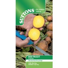 Seeds - Beetroot F1 Boldor