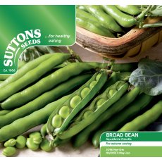 Seeds - Broad Bean Aquadulce Claudia
