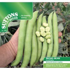 Seeds - Broad Bean Luz de Otono