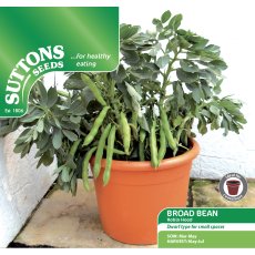 Seeds - Broad Bean Robin Hood