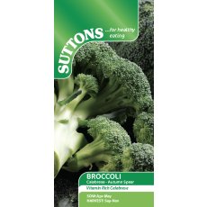 Seeds - Broccoli Calabrese Autumn Spear