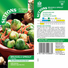 Seeds - Brussels Sprout F1 Brodie