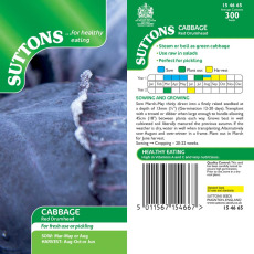 Seeds - Cabbage Red Drumhead