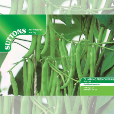 Seeds - Climbing French Bean Blue Lake