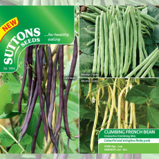 Seeds - Climbing French Bean Colourful Climbing Mix