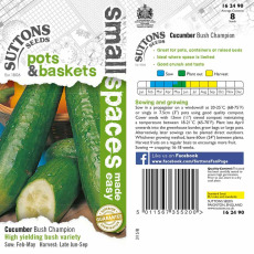 Seeds - Cucumber Bush Champion