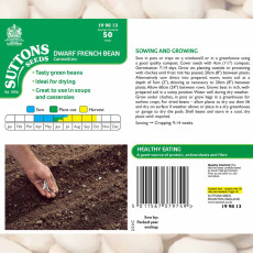 Seeds - Dwarf French Bean Cannellino