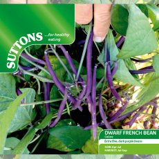 Seeds - Dwarf French Bean Celine