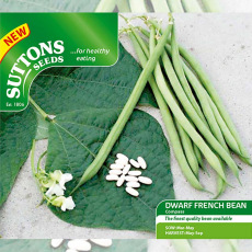 Seeds - Dwarf French Bean Compass