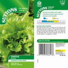 Seeds - Endive Natacha