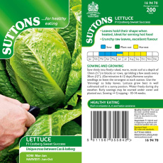 Seeds - Lettuce Cosberg Sweet Success F1