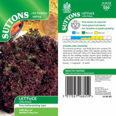 Seeds - Lettuce Lollo Rossa Seeds - Lettuce Lollo Rossa