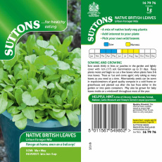 Seeds - Native British Leaves Urban Forager Mix Seeds - Native British Leaves Urban Forager Mix