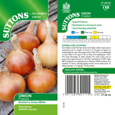 Seeds - Onion F1 Santero