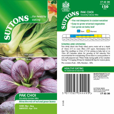 Seeds - Pak Choi Crunchy Colour Mix