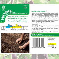 Seeds - Pea Mangetout Multicoloured Mix Seeds - Pea Mangetout Multicoloured Mix