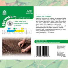 Seeds - Pea Oregon Sugar Pod (Mangetout)