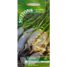 Seeds - Radish Mooli