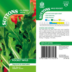 Seeds - Rocket Wild