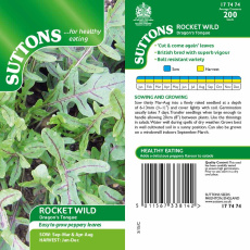 Seeds - Rocket Wild Dragons Tongue