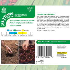 Seeds - Runner Bean Best of All