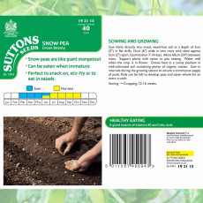 Seeds - Snow Pea Green Beauty