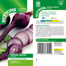 Seeds - Spring Onion Purplette