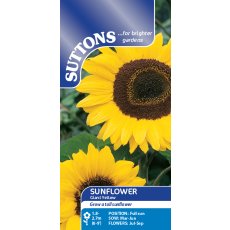 Seeds - Sunflower Giant Yellow