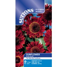 Seeds - Sunflower Ruby Sunset