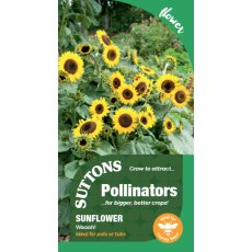 Seeds - Sunflower Waooh (P)