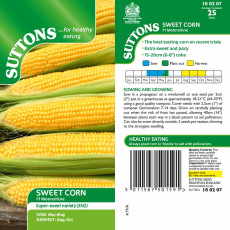 Seeds - Sweet Corn Moonshine F1