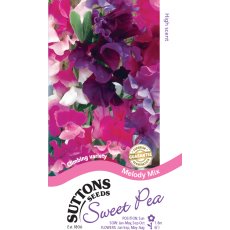 Seeds - Sweet Pea Melody Mix