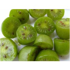 Kiwi Berry - Actinidia arguta Issai