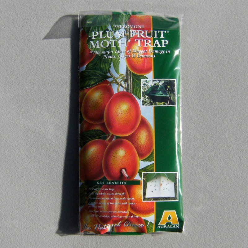 Sundries Plum Mothtrap