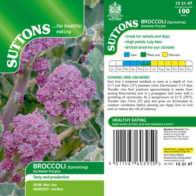152147 Broccoli Summer Purple