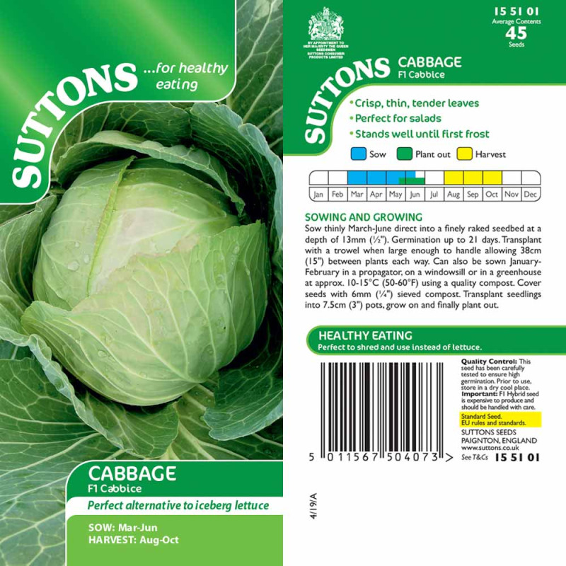 155101 Cabbage F1 Cabbice